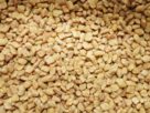 Fenugreek Seeds