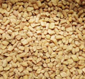 Fenugreek Seeds